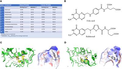 Selective reprogramming of regulatory T cells in solid tumors can strongly enhance or inhibit tumor growth